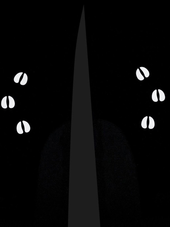 Kilpi Μαύρο παιδικό παντελόνι σκι Kilpi CHARLIE