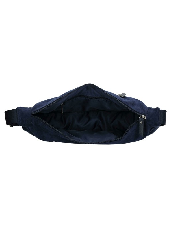 Beagles Kidney Beagles Ned Navy