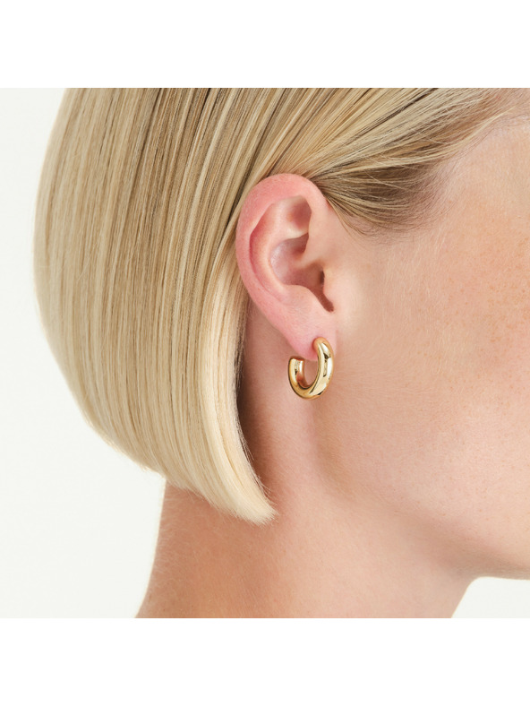 Rosefield Επιχρυσωμένα γυναικεία σκουλαρίκια Rosefield JESHG-J931